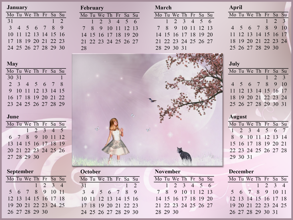 2011 Calendar Year