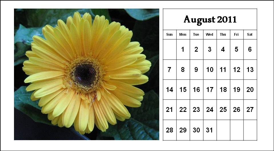 August 2011 Calendar India