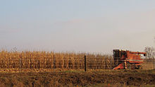 Children Of The Corn 2009 Fertilization