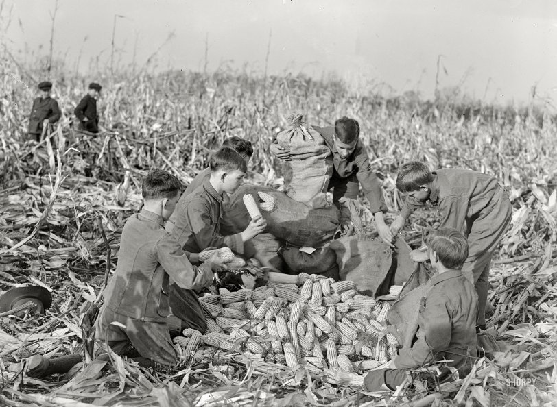 Children Of The Corn 2012