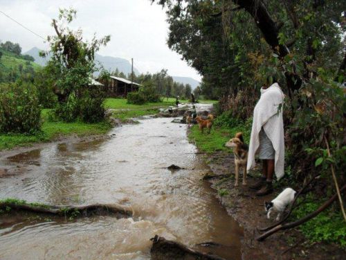 Children Playing In Rainy Season