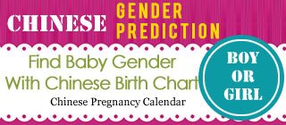 Chinese Pregnancy Calendar 2008