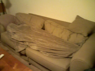 Couch Camo