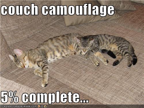 Couch Camouflage