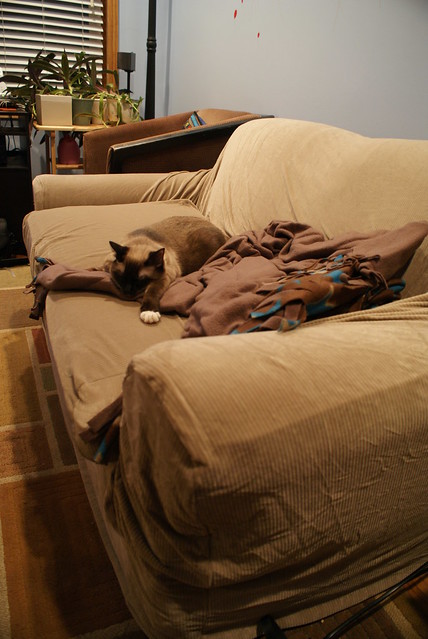 Couch Camouflage