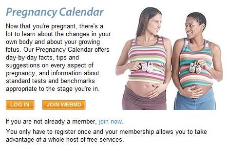 Daily Pregnancy Calendar With Pictures