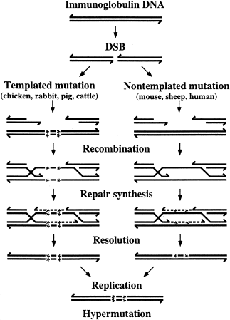 Elliott Benson Research Reviews