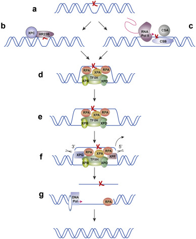 Elliott Benson Research Reviews