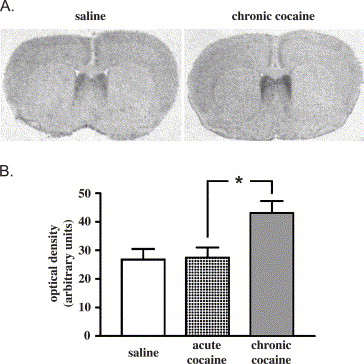 Elliott Benson Research Reviews