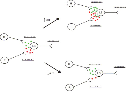 Elliott Benson Research Reviews