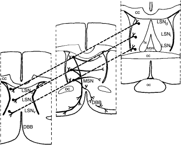 Elliott Benson Research Reviews