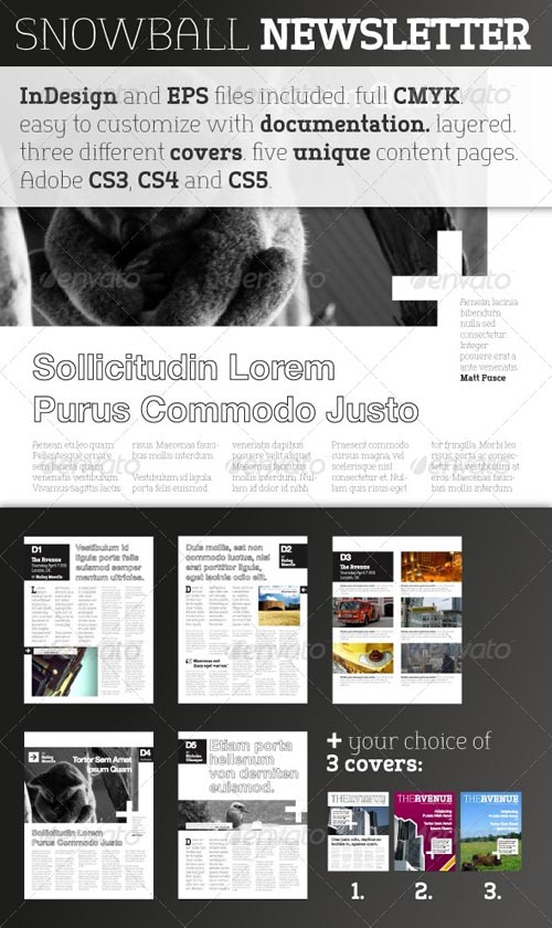 Email Newsletter Templates Indesign