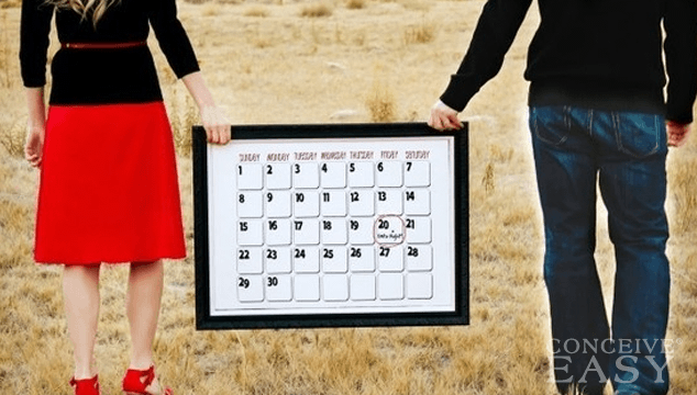 Free Ovulation Calendar Boy Or Girl