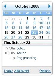 Google Calendar Desktop