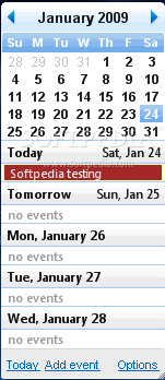 Google Calendar Desktop Widget Vista