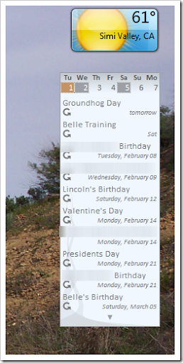 Google Calendar Desktop Widget Windows