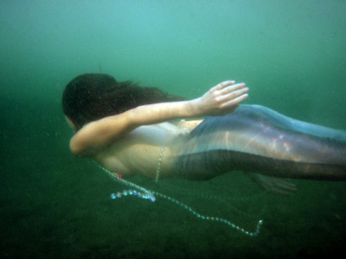 Im A Mermaid Tumblr