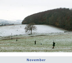 November 2011 Calendar Uk