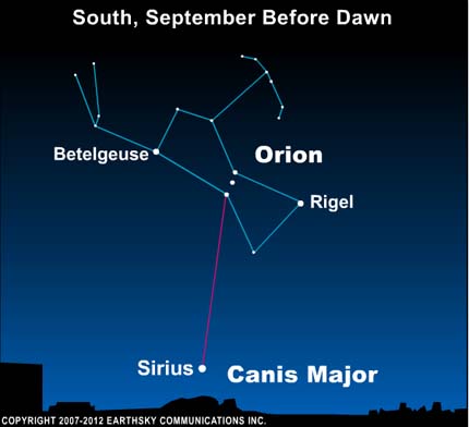 Orion And Sirius Constellation