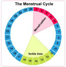 Ovulation Calendar Boy