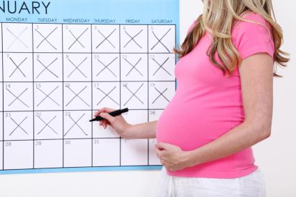 Pregnancy Calendar Week By Week Printable