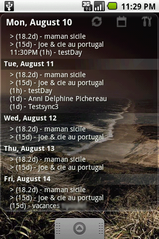 Android Agenda Widget Ics