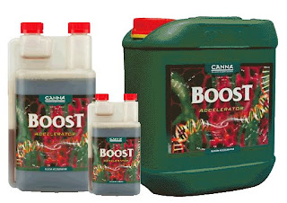 Canna Boost