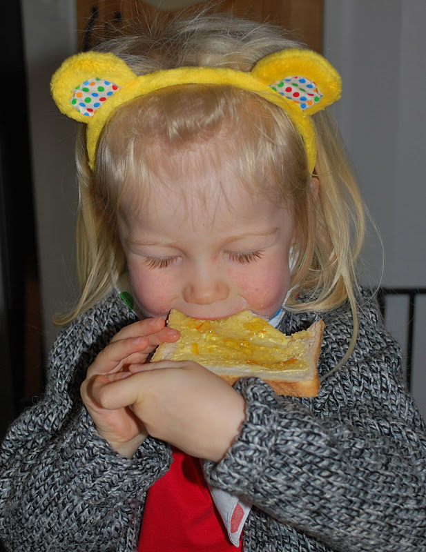 Children In Need Pudsey Bear Costume