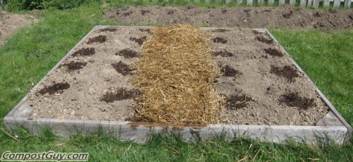 Children Of The Corn 2009 Fertilization