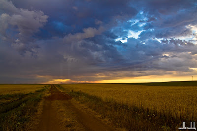 Children Of The Corn 2011