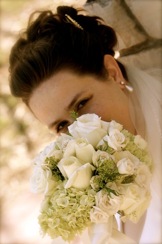 Cream Spray Roses