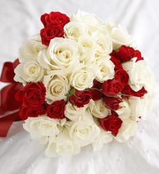 Cream Spray Roses