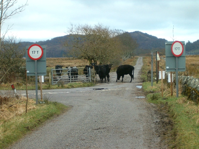 Crinan Ferry