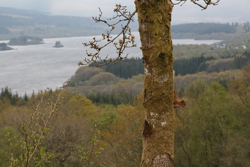 Crinan Ferry Ice House