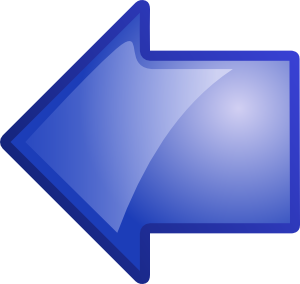 Left Arrow Icon