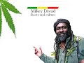 Mikey Dread Roots And Culture Lyrics