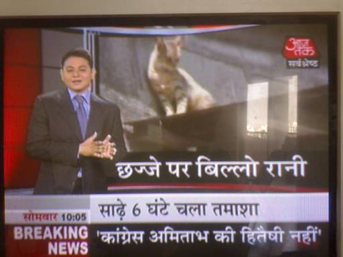 News Today India In Hindi