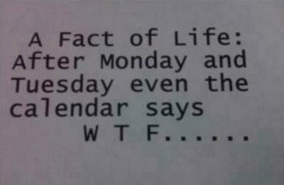 Tomorrow Is Monday Again